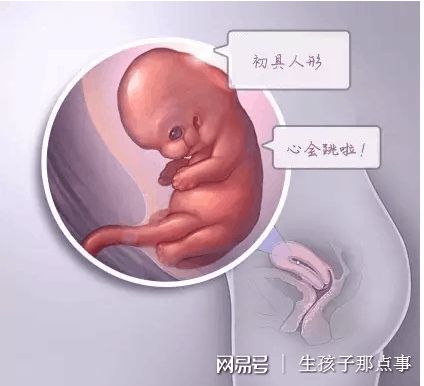 张暖春主任